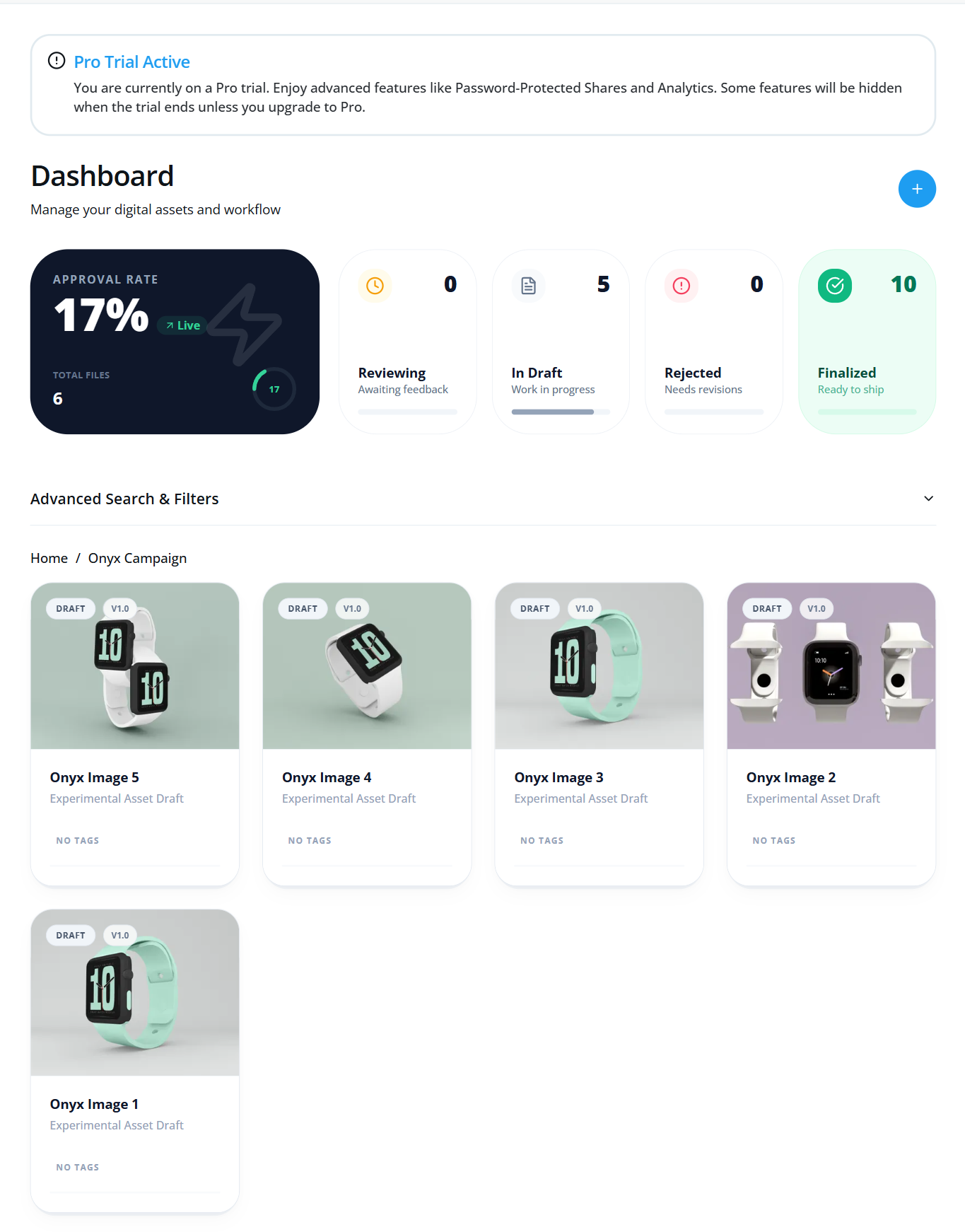 Asset Library View